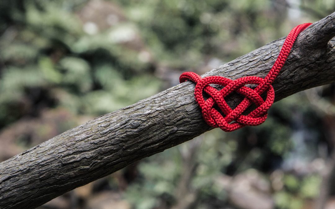 Love doesn’t die, people do