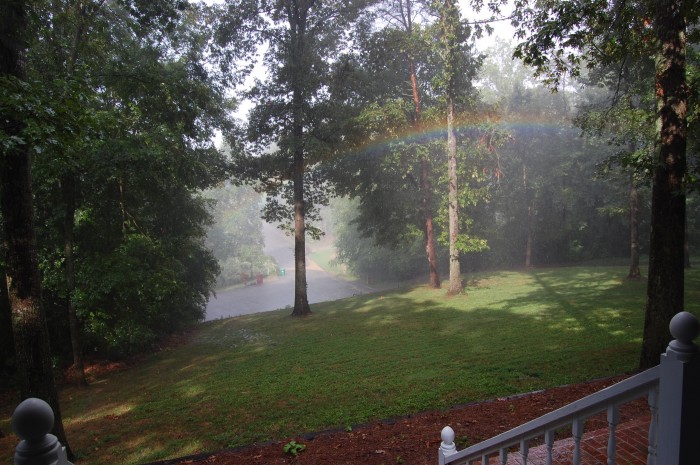 Rainbow in my front yard