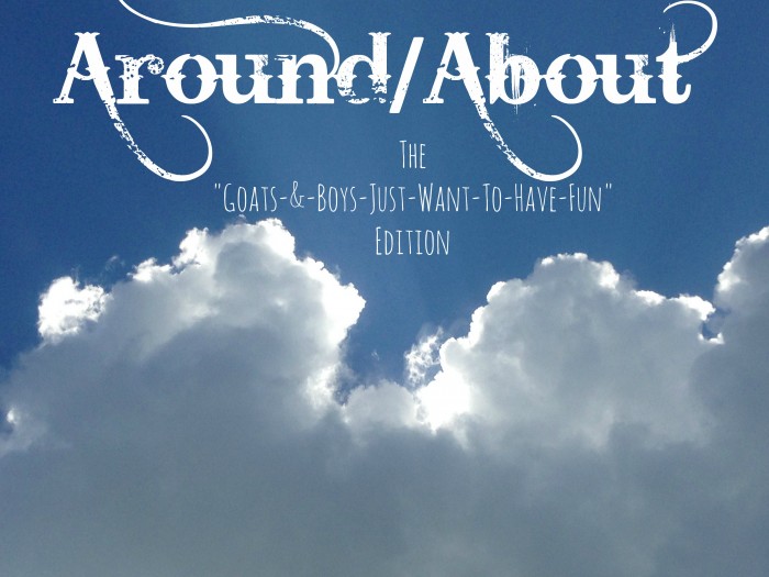 Around About by Robin Dance