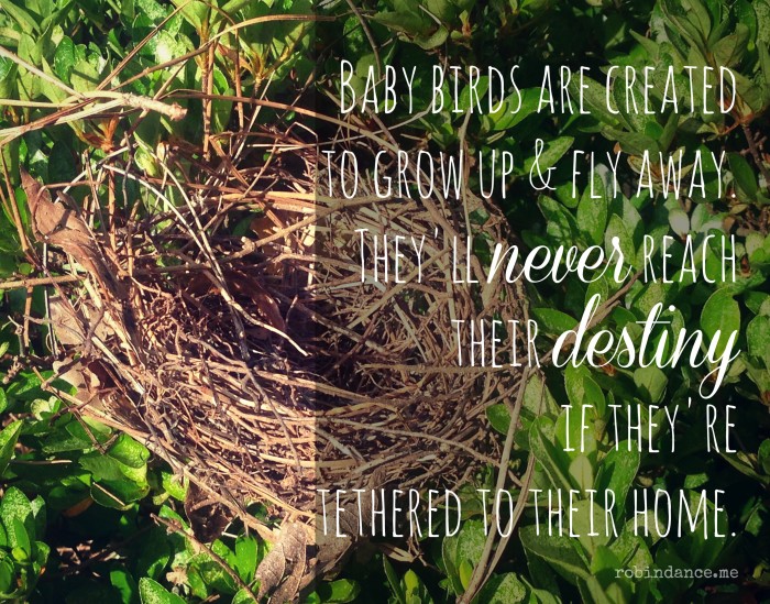 Empty Nest quote