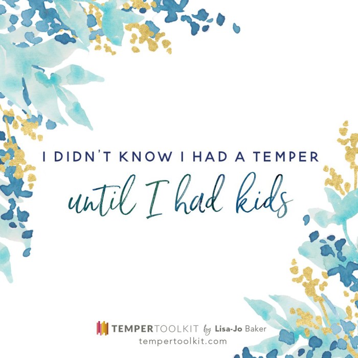 TemperToolkit_SM3-color