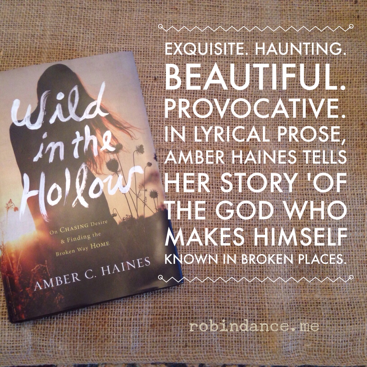 Wild in the Hollow: a story of the God who makes himself known in the broken places